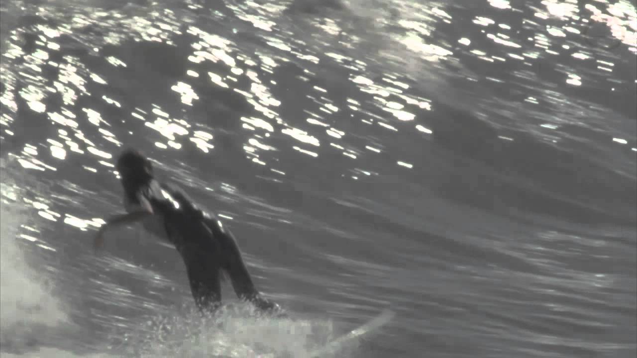 Bum Rush Tour - Jacksonville Beach, Florida